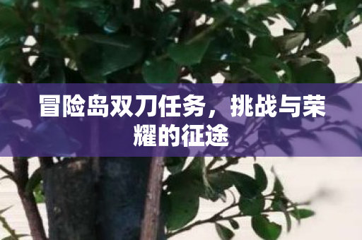 挑战与荣耀的征途图片