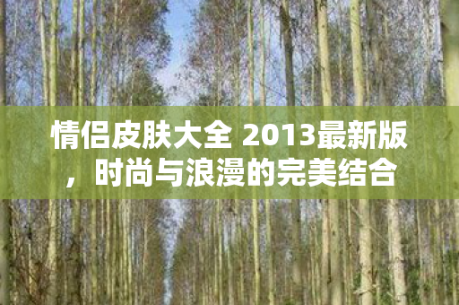 情侣皮肤大全 2013最新版图片