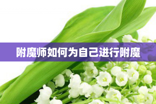 附魔师如何为自己进行附魔图片