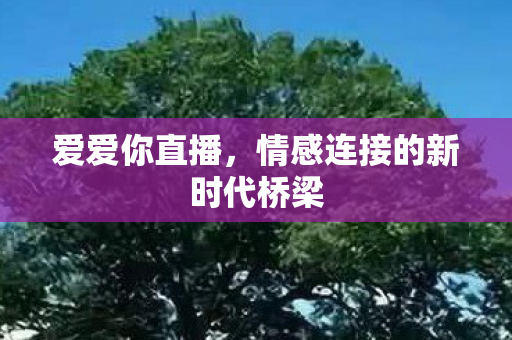 情感连接的新时代桥梁图片