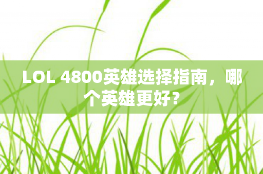 LOL 4800英雄选择指南图片