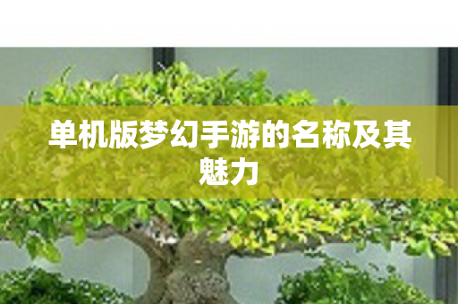 单机版梦幻手游的名称及其魅力图片