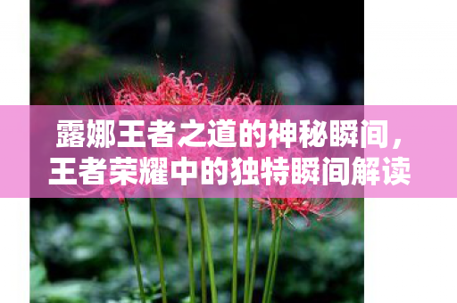 王者荣耀中的独特瞬间解读图片