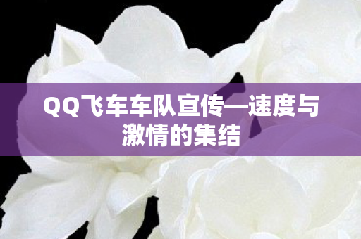 QQ飞车车队宣传图片