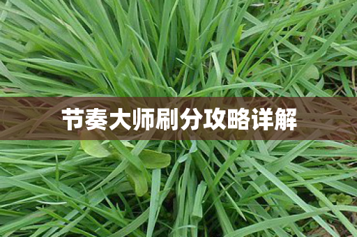 节奏大师刷分攻略详解图片