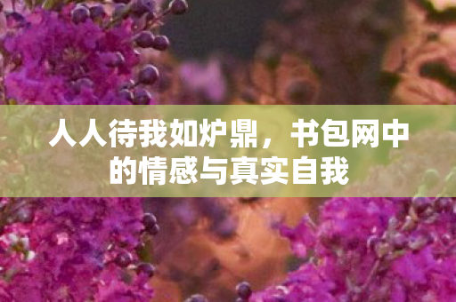 书包网中的情感与真实自我图片