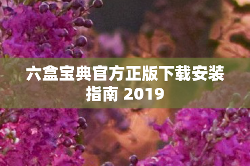 六盒宝典官方正版下载安装指南 2019图片