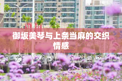 御坂美琴与上条当麻的交织情感图片