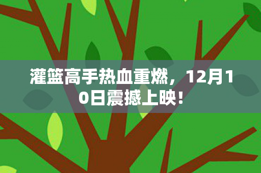 12月10日震撼上映图片