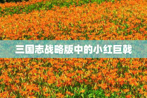 三国志战略版中的小红巨戟图片