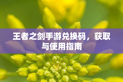 王者之剑手游兑换码图片