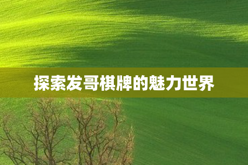 探索发哥棋牌的魅力世界图片