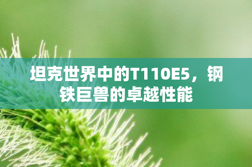 坦克世界中的T110E5图片