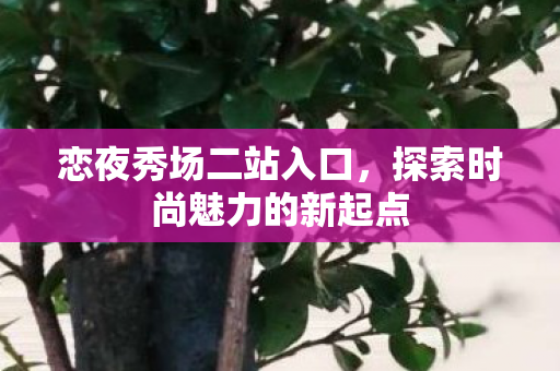 探索时尚魅力的新起点图片
