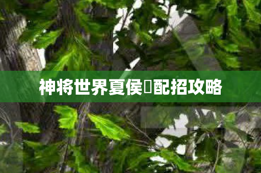 神将世界夏侯惇配招攻略图片