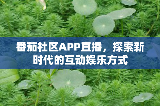 探索新时代的互动娱乐方式图片