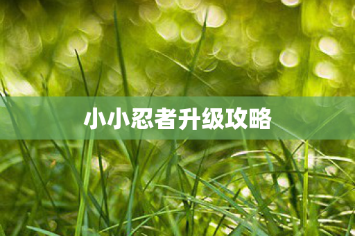 小小忍者升级攻略图片