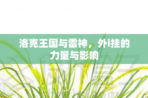 外i挂的力量与影响图片