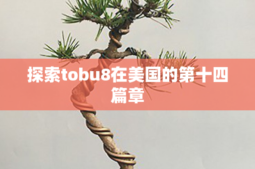 探索tobu8在美国的第十四篇章图片