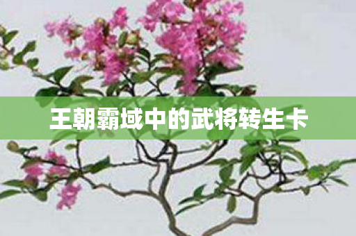 王朝霸域中的武将转生卡图片