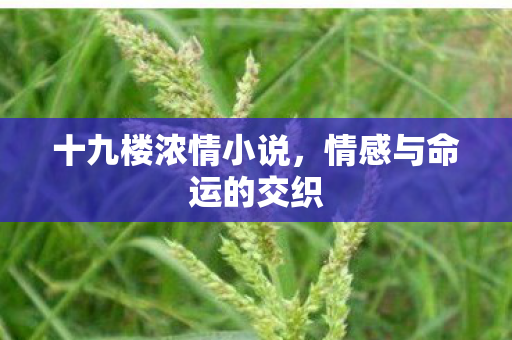 情感与命运的交织图片
