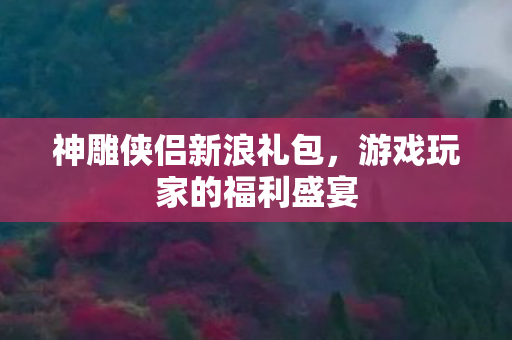 游戏玩家的福利盛宴图片