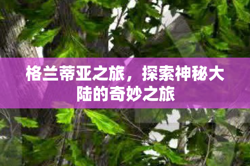 探索神秘大陆的奇妙之旅图片