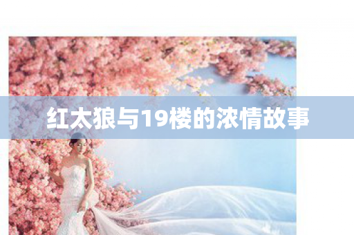 红太狼与19楼的浓情故事图片