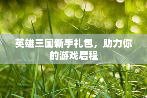 英雄三国新手礼包图片