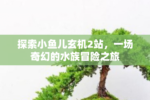 一场奇幻的水族冒险之旅图片