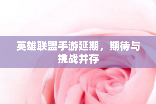 英雄联盟手游延期图片