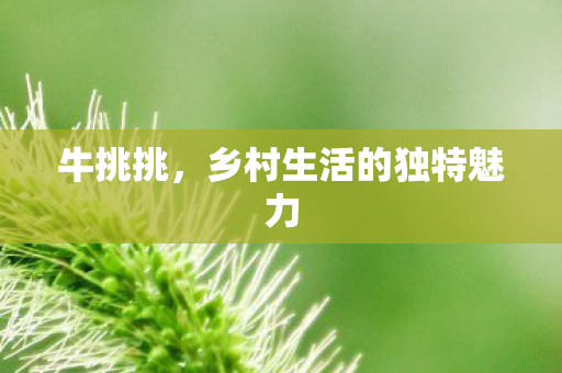 乡村生活的独特魅力图片