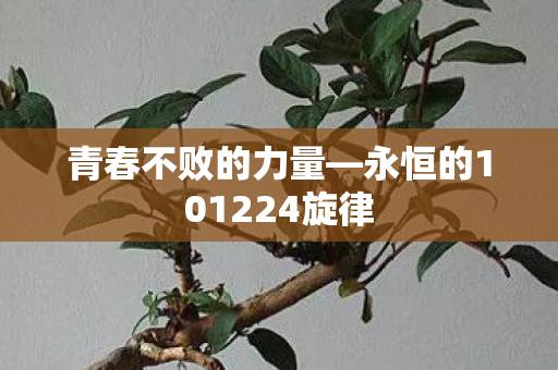 永恒的101224旋律图片