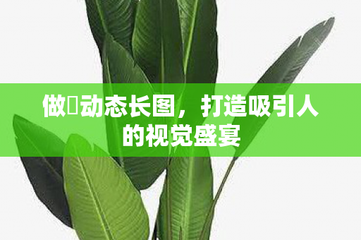 打造吸引人的视觉盛宴图片