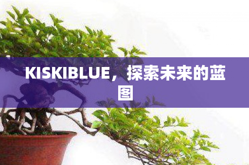 KISKIBLUE图片
