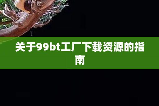 关于99bt工厂下载资源的指南图片