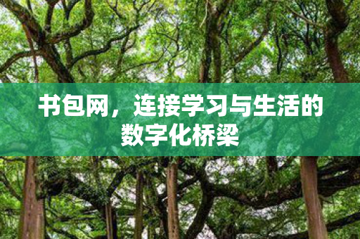 连接学习与生活的数字化桥梁图片