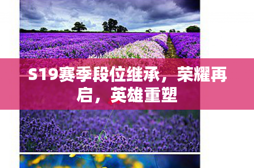 S19赛季段位继承图片