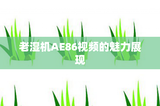 老湿机AE86视频的魅力展现图片