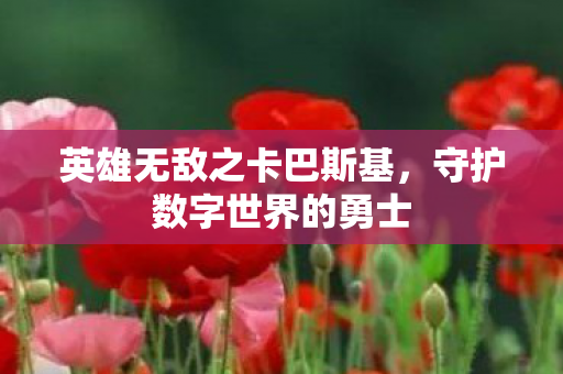 英雄无敌之卡巴斯基图片