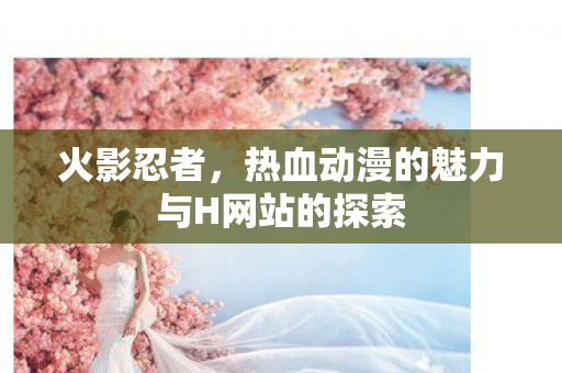 热血动漫的魅力与H网站的探索图片