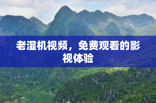 免费观看的影视体验图片