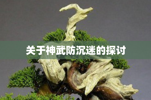 关于神武防沉迷的探讨图片