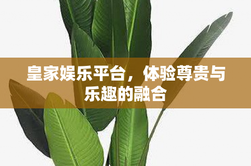 体验尊贵与乐趣的融合图片
