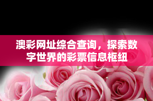 探索数字世界的彩票信息枢纽图片
