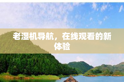 在线观看的新体验图片