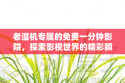 老湿机专属的免费一分钟影院图片