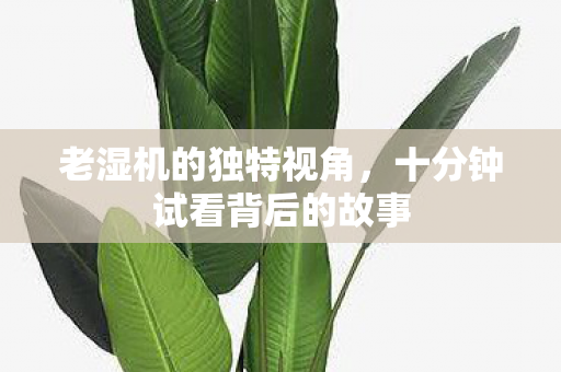 十分钟试看背后的故事图片