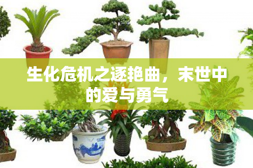 生化危机之逐艳曲图片