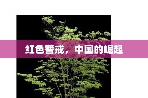 中国的崛起图片